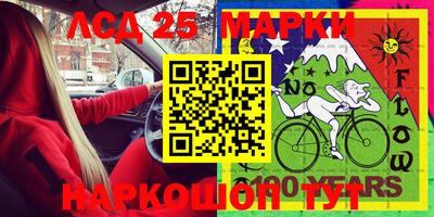 прущие грибы Новозыбков