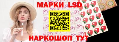 прущие грибы Новозыбков