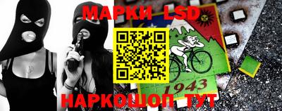 прущие грибы Новозыбков