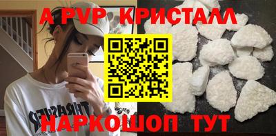 прущие грибы Новозыбков