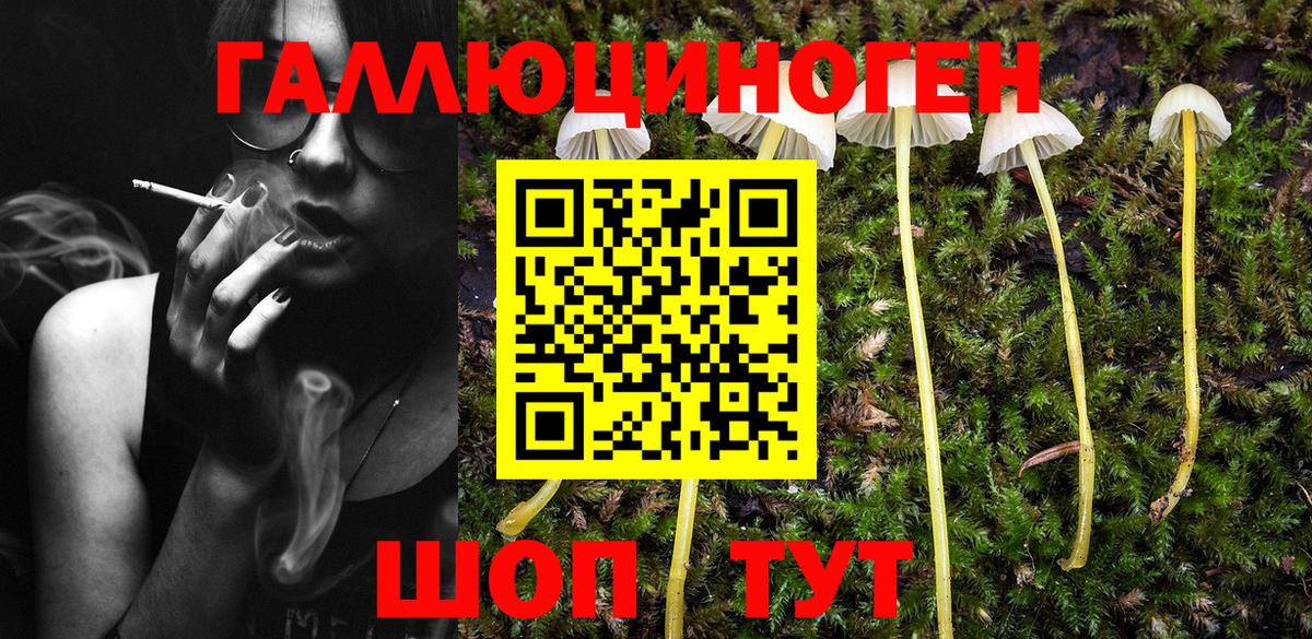 Галлюциногенные грибы мицелий Усть-Илимск